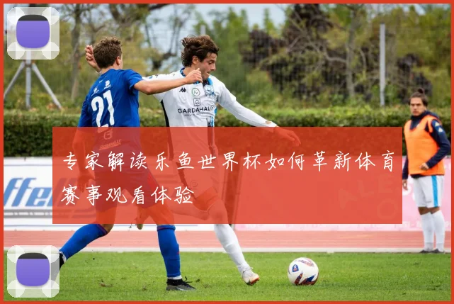 专家解读乐鱼世界杯如何革新体育赛事观看体验