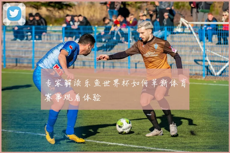 专家解读乐鱼世界杯如何革新体育赛事观看体验