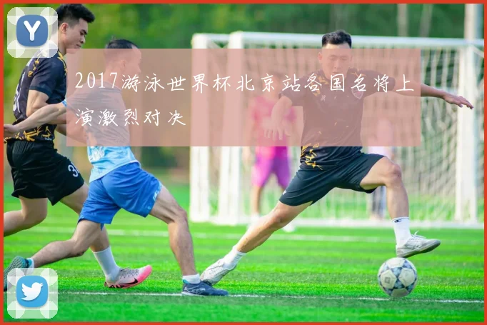 2017游泳世界杯北京站各国名将上演激烈对决