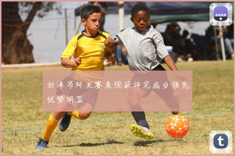 刘洋吊环决赛表现获评完成分领先优势明显